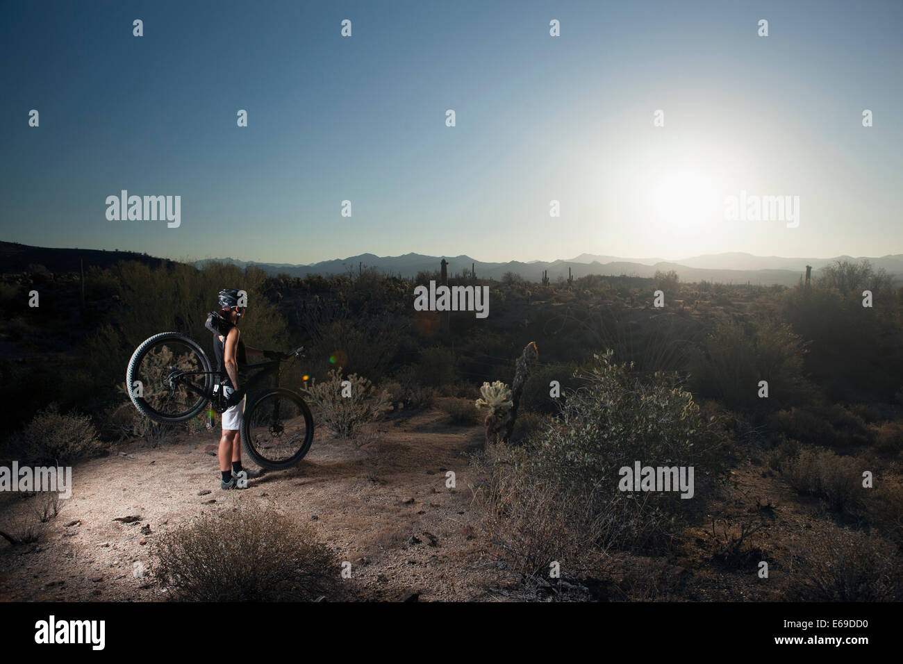 Mountainbiker stehen in der Wüste Stockfoto