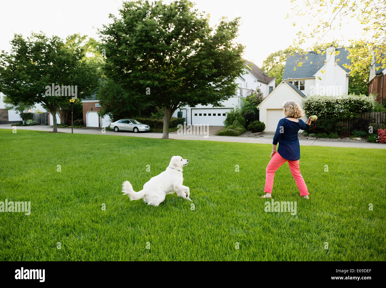 Kaukasische Frau spielt mit Hund im park Stockfoto