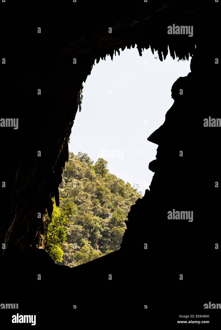 Lincolns Profil, Deer Cave, Mulu, Malaysia Stockfoto