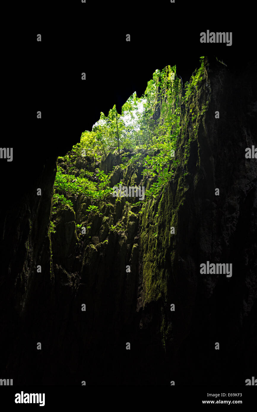 Oberlicht Eingang in Clearwater Cave mit Pflanzen wachsen in Richtung des Lichts, Mulu, Malaysia Stockfoto