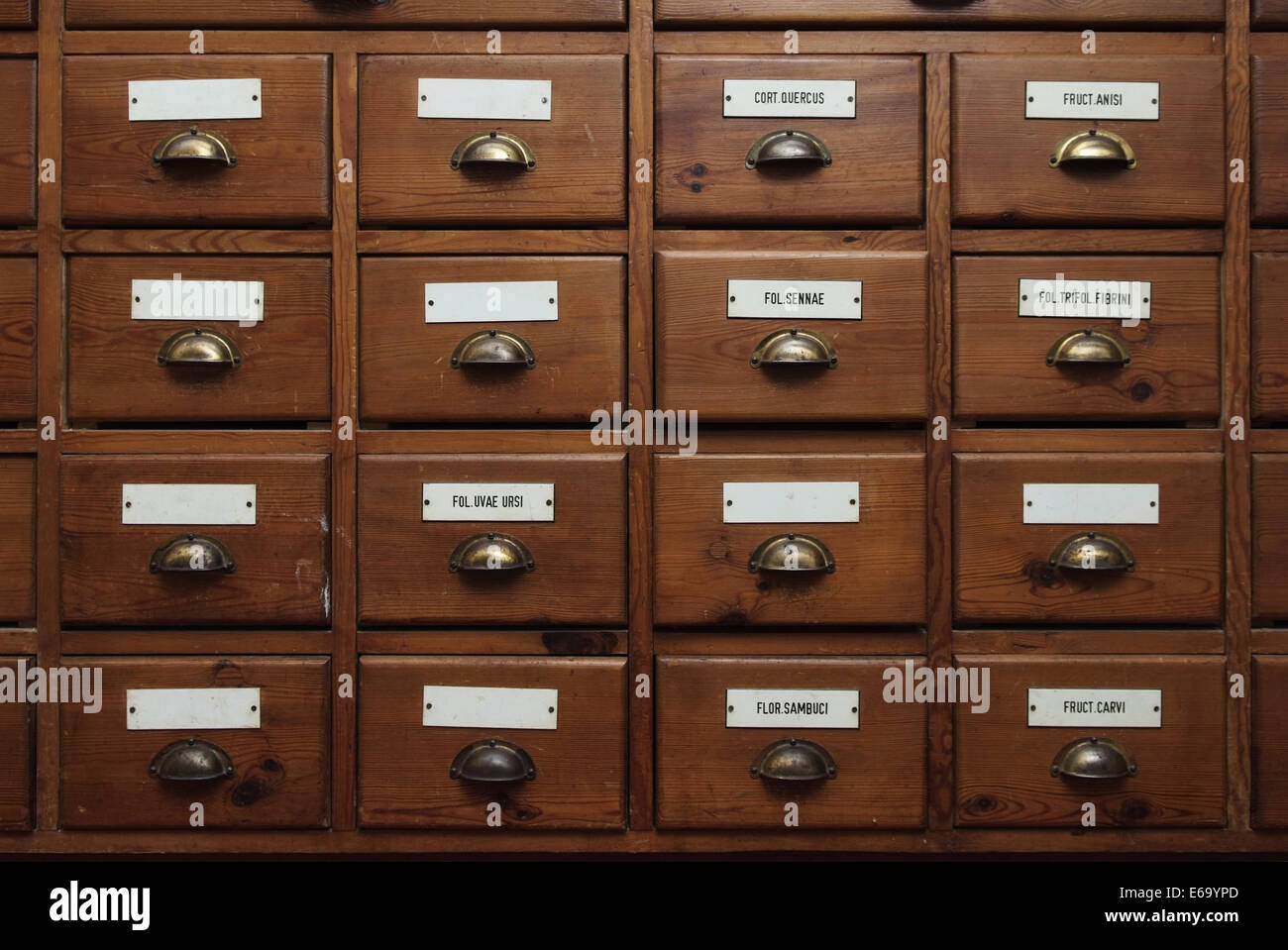 Schublade, Schrank, pflanzliche Kabinett Stockfoto