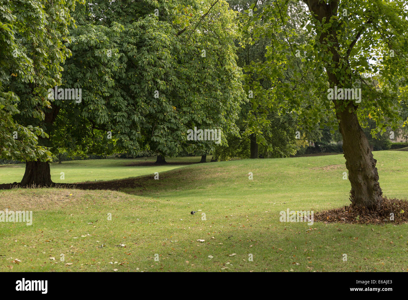 ruhigen Gegend im Regents Park, London Stockfoto