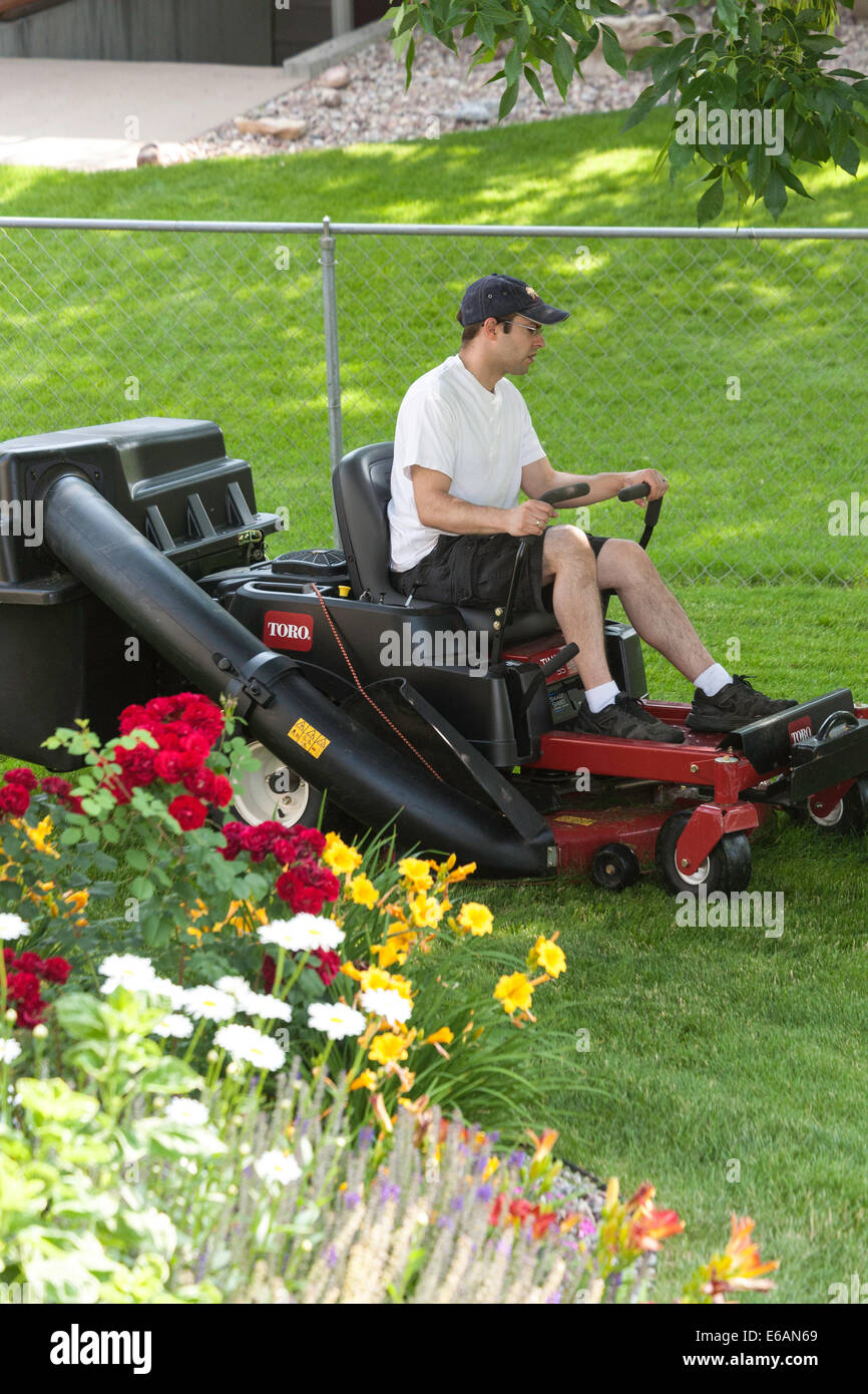 Junger Mann mähen Rasen, USA Stockfoto