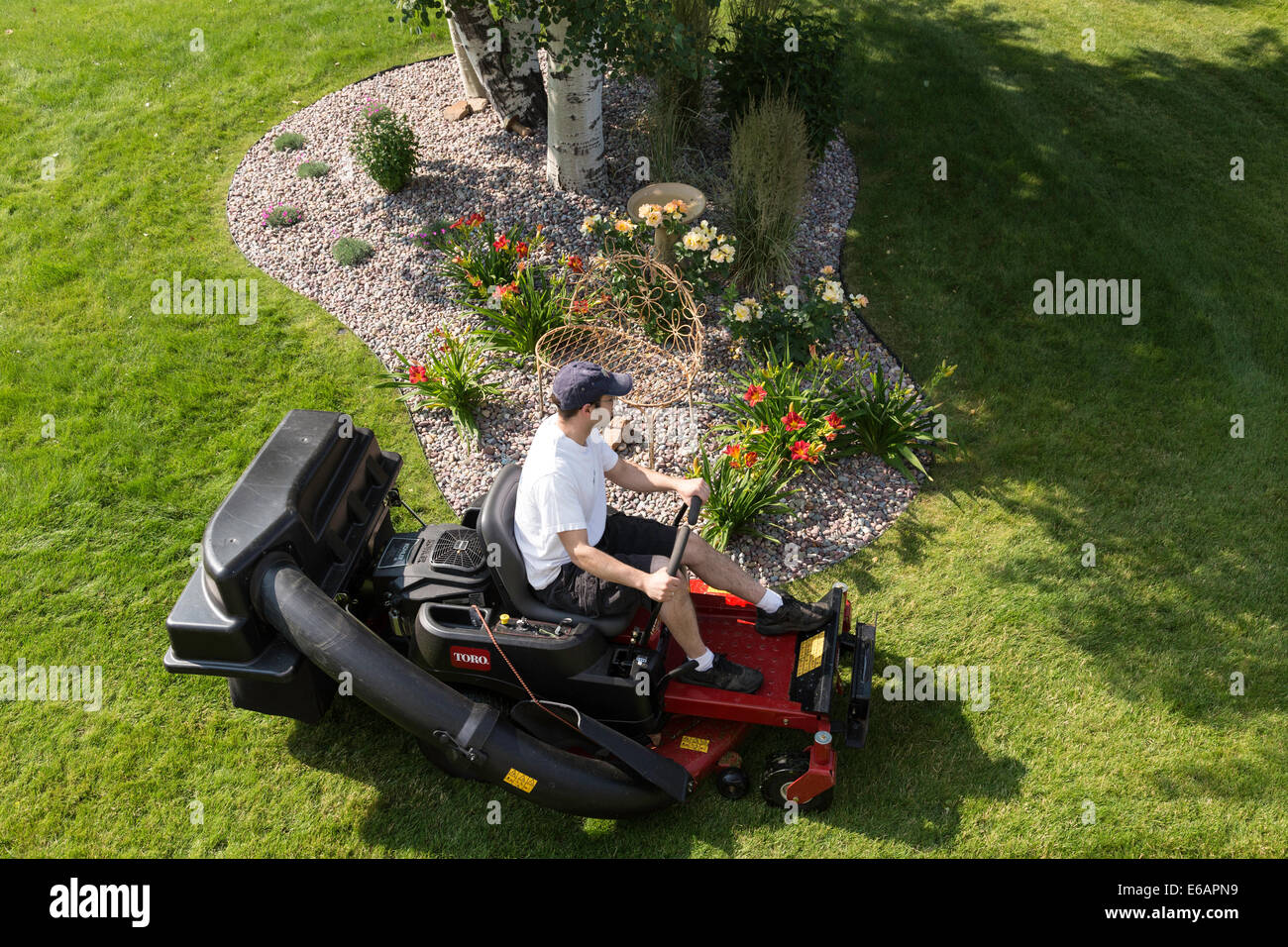 Junger Mann mähen Rasen, USA Stockfoto