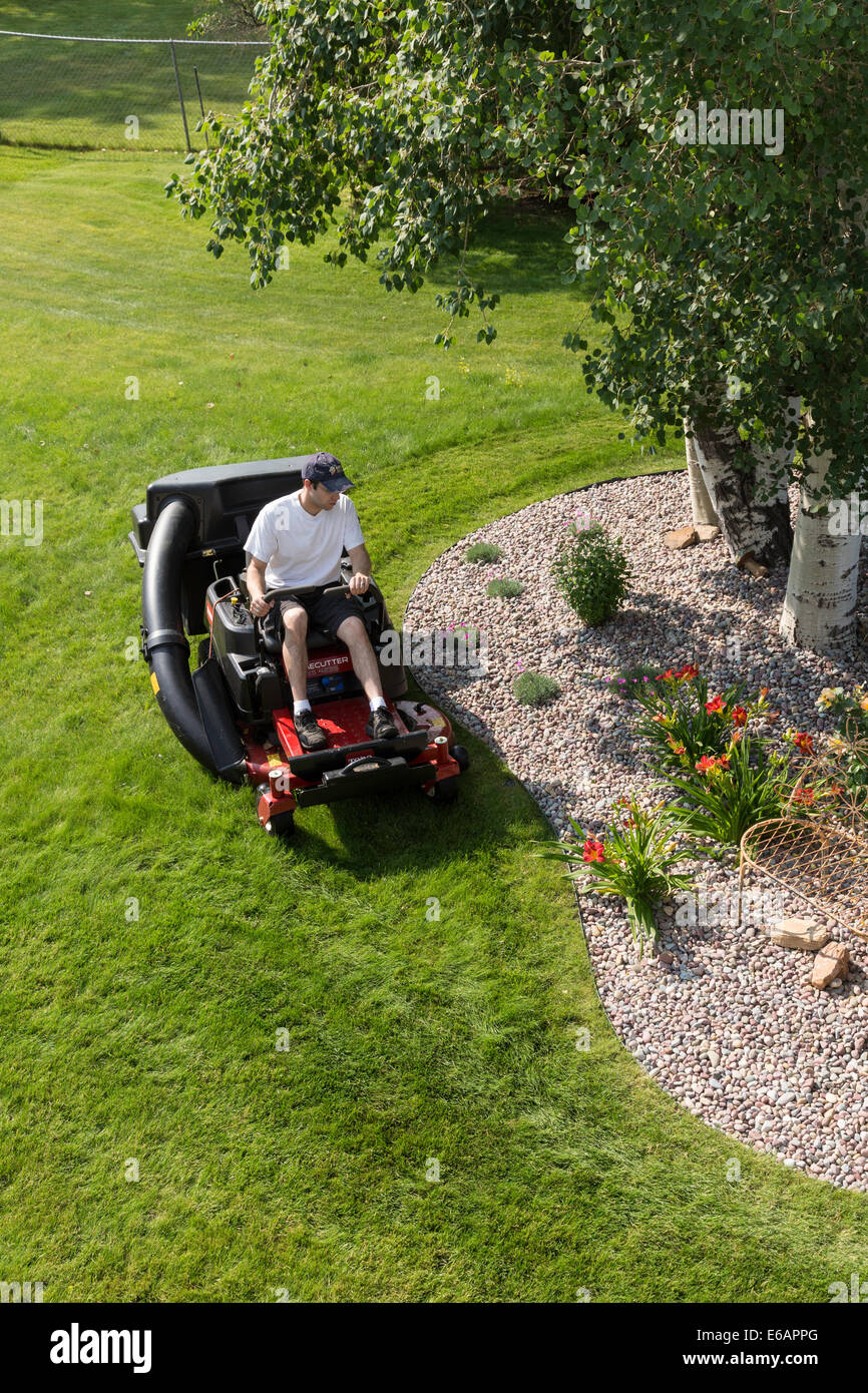 Junger Mann mähen Rasen, USA Stockfoto