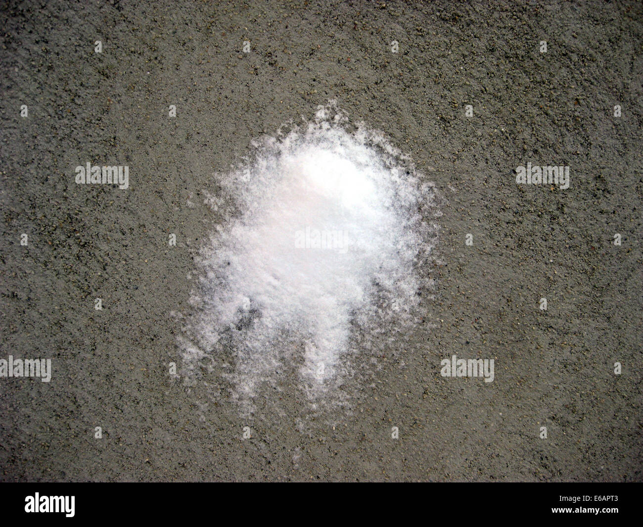 Hauswand, Schneeball, blob Stockfoto