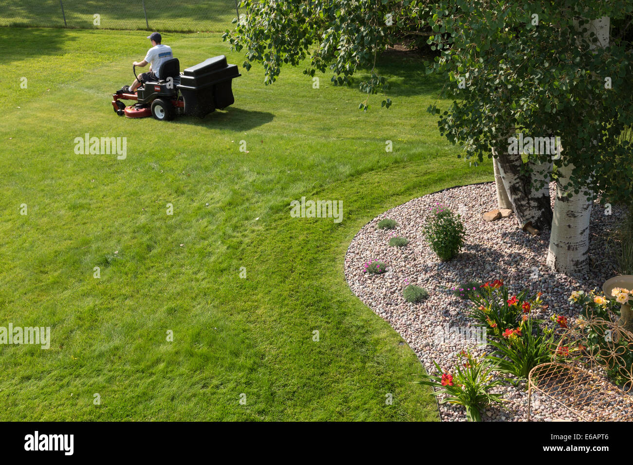Junger Mann mähen Rasen, USA Stockfoto