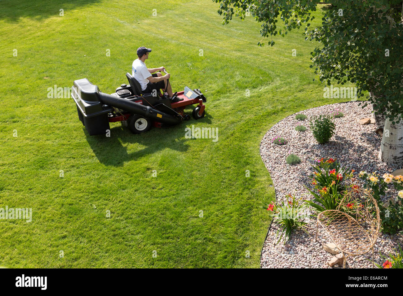 Junger Mann mähen Rasen, USA Stockfoto