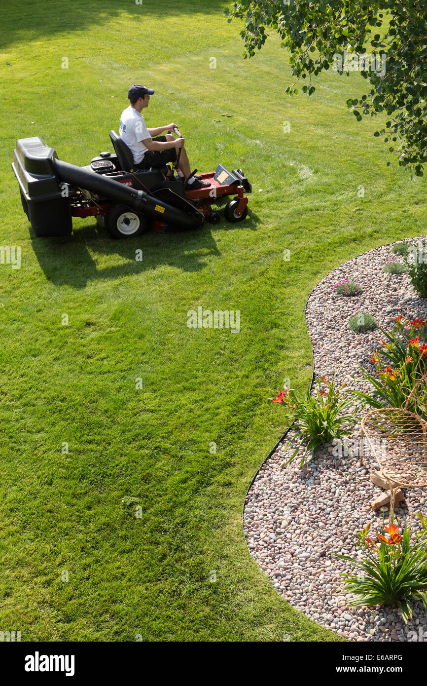 Junger Mann mähen Rasen, USA Stockfoto