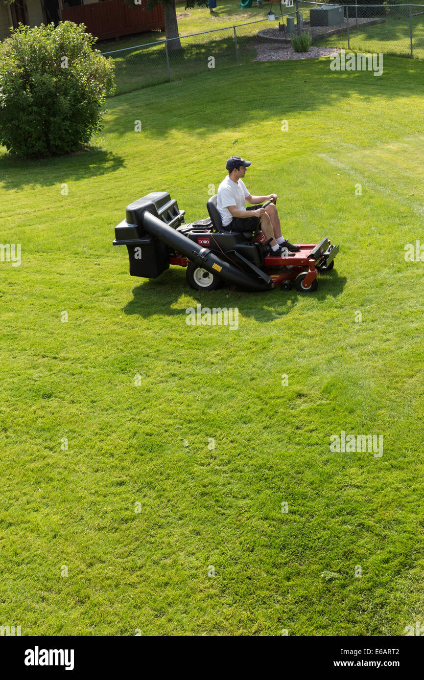 Junger Mann mähen Rasen, USA Stockfoto