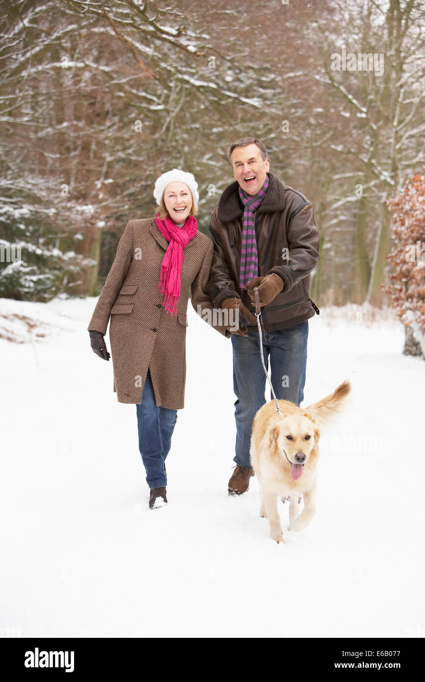 Hund, Winterwanderung, paar Stockfoto