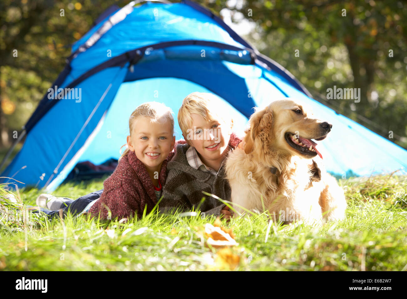 Familienhund, Familienurlaub, camping Stockfoto