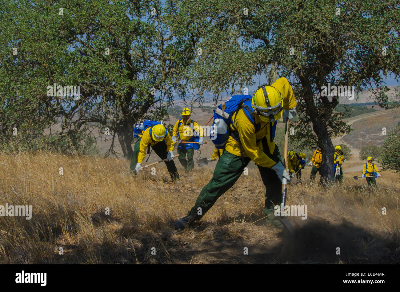 US-Soldaten mit der 340. Brigade Support Battalion und der 224. Sustainment Brigade, beide mit Kalifornien Army National Guard Schnittlinie während einer Übung mit dem California Department of Forestry und Brandschutz im Camp Roberts, C Stockfoto