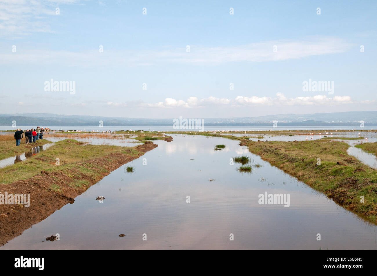 Überflutete Straße auf der Südseite des Lake Nakuru mit Kunden aussteigen um zu sehen, Flamingos und Pelikane Kenia Afrika Stockfoto