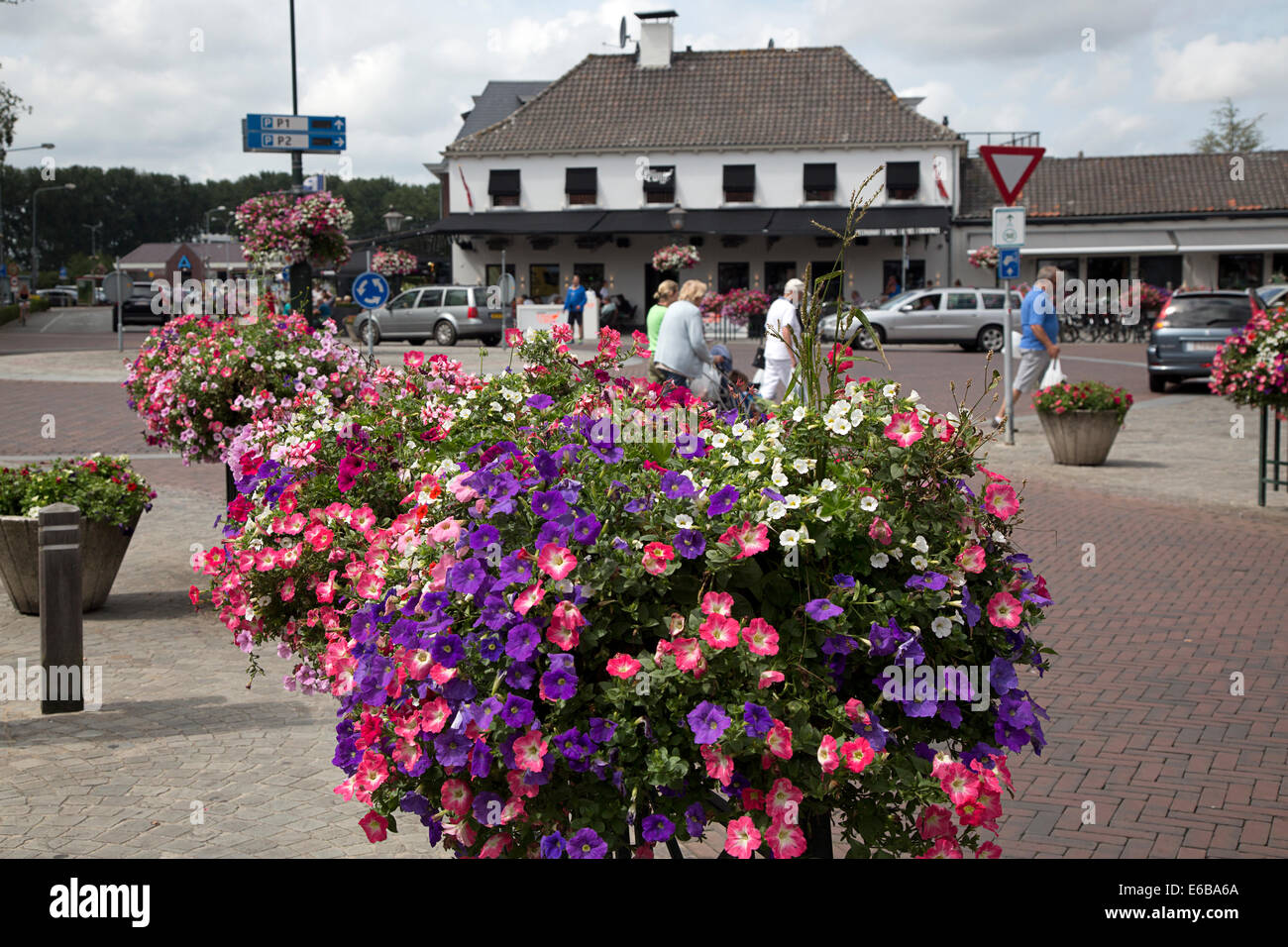 Blumen in Einkaufsstraße in niederländische Stadt Sluis, Zeeland, Niederlande Stockfoto
