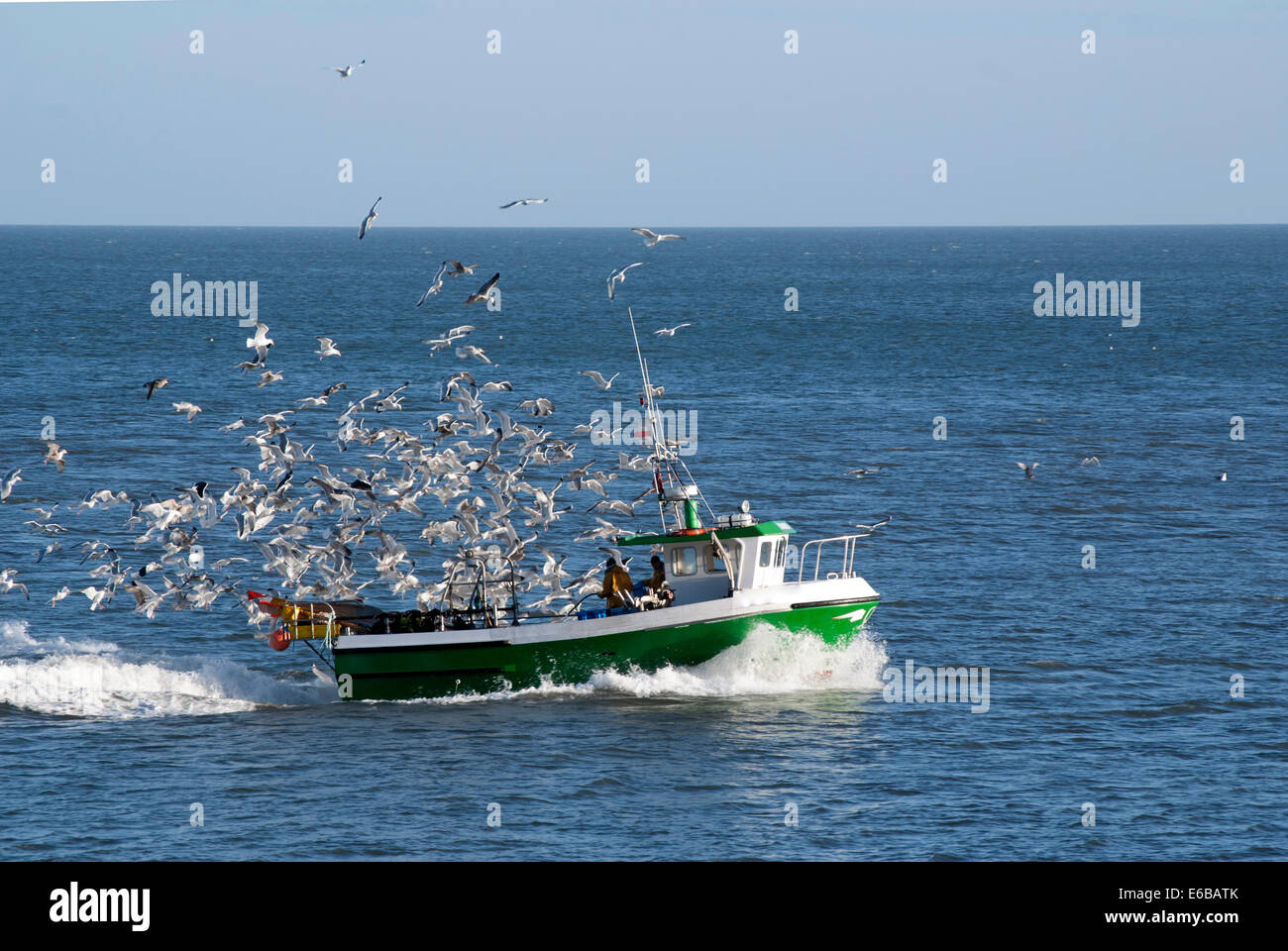Angelboot/Fischerboot, die Rückkehr in den Hafen gefolgt von hungrigen Möwen Stockfoto