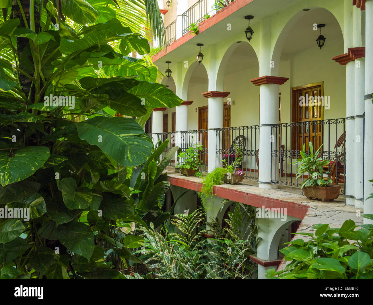 Mexiko, Chiapas, Chiapa de Corzo. Dschungel-wie Laub im Garten im Innenhof am Hotel La Ceiba. Stockfoto