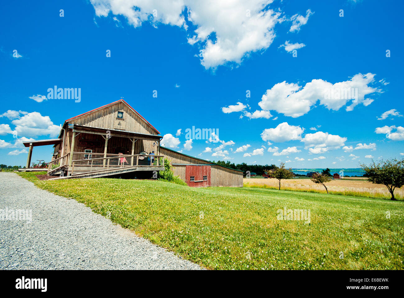 Weingut im Bundesstaat New York. Region der Finger Lakes. Stockfoto