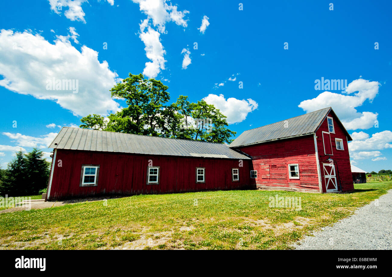 Weingut im Bundesstaat New York. Region der Finger Lakes. Stockfoto