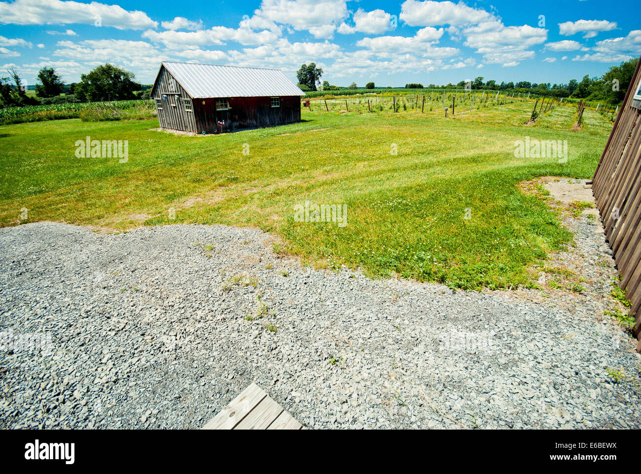 Blick auf das Weingut in Upstate New York. Region der Finger Lakes. Stockfoto