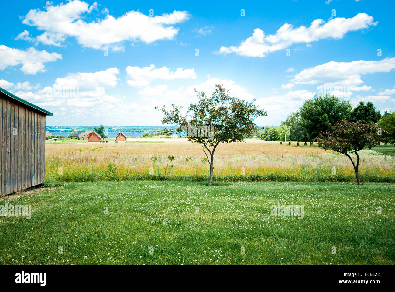 Weingut im Bundesstaat New York. Region der Finger Lakes. Natur. Landschaft. Blauer Himmel. Stockfoto