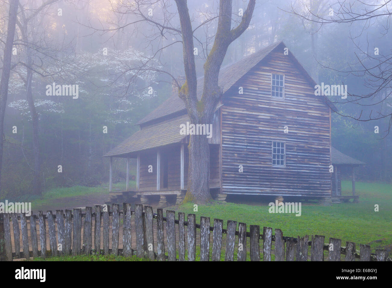 Tipton Kabine, Cades Cove, tolle Smoky Mountains National Park, Tennessee, USA Stockfoto