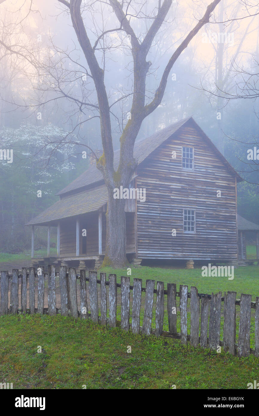 Tipton Kabine, Cades Cove, tolle Smoky Mountains National Park, Tennessee, USA Stockfoto