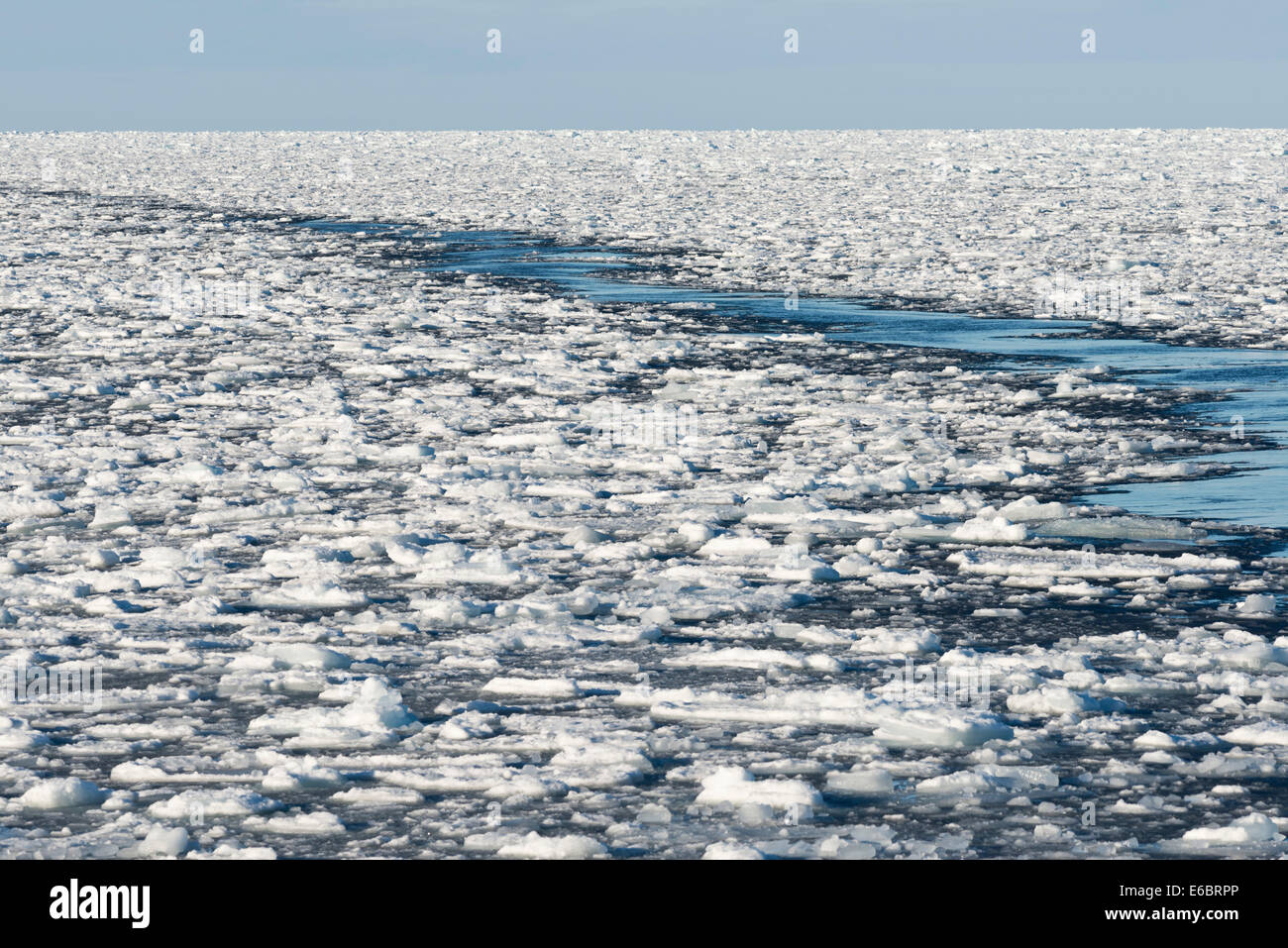 Eisschollen, Rand des Packeises, Nordpolarmeer, Spitzbergen, Svalbard-Inseln, Svalbard und Jan Mayen, Norwegen Stockfoto