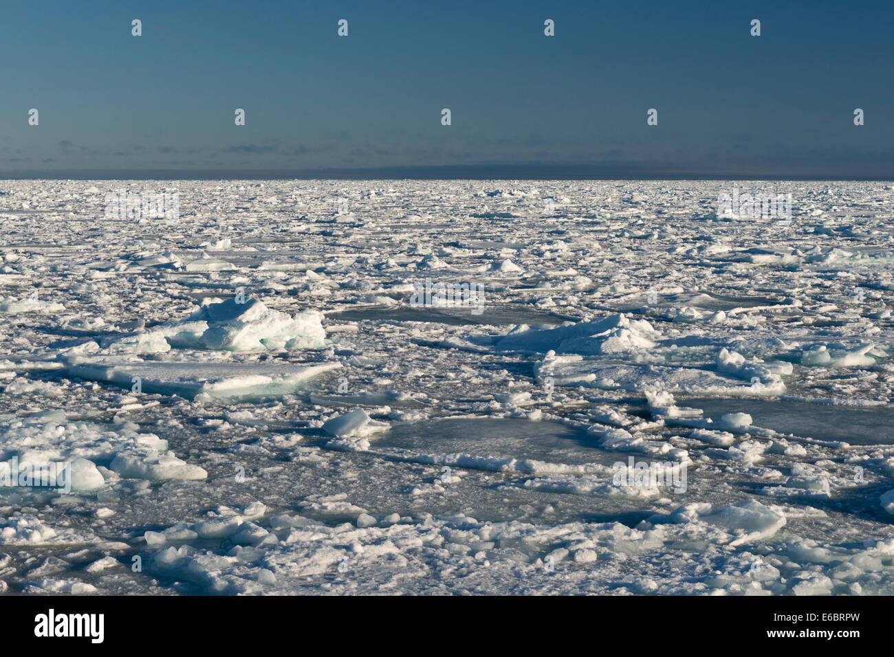 Eisschollen, Rand des Packeises, Nordpolarmeer, Spitzbergen, Svalbard-Inseln, Svalbard und Jan Mayen, Norwegen Stockfoto