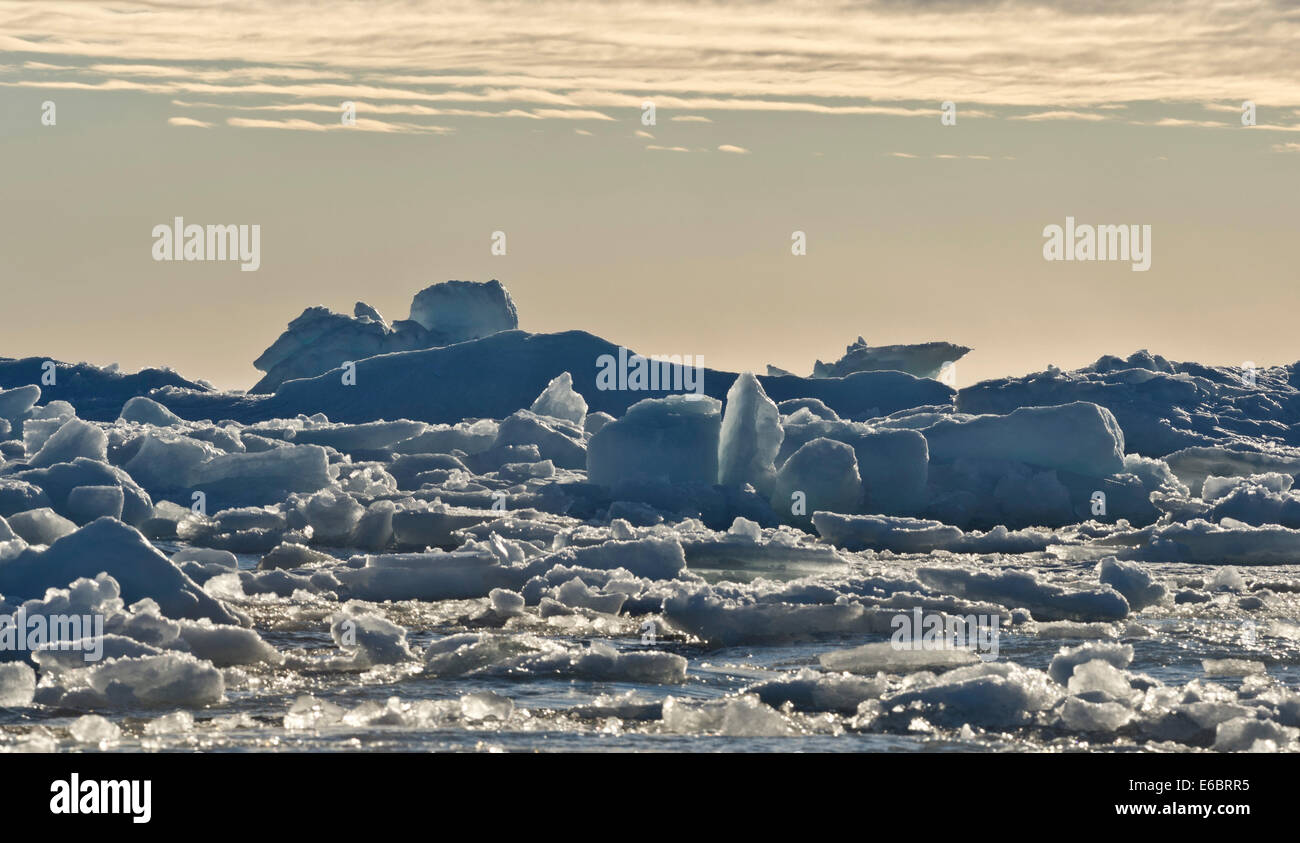 Eisschollen, Rand des Packeises, Nordpolarmeer, Spitzbergen, Svalbard-Inseln, Svalbard und Jan Mayen, Norwegen Stockfoto