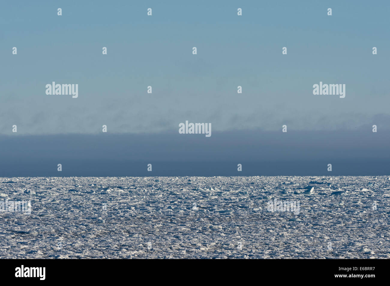 Eisberge, packen, Eis, Nordpolarmeer, Spitzbergen, Svalbard-Inseln, Svalbard und Jan Mayen, Norwegen Stockfoto