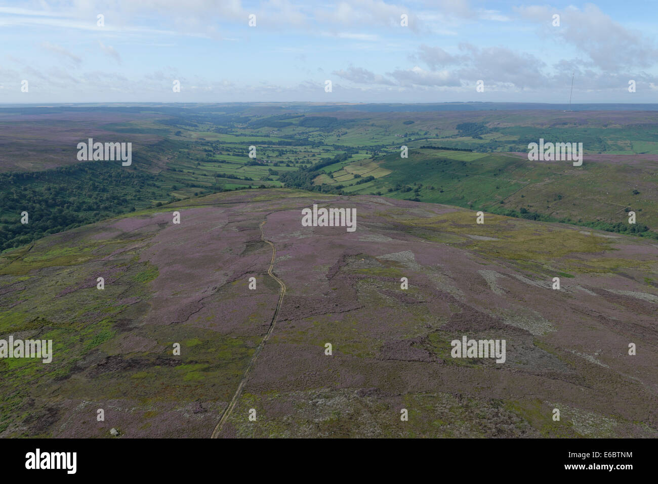 Eine Luftaufnahme zeigt die North Yorkshire Moors bedeckt mit lila Heidekraut, an einem hellen Sommertag. Stockfoto