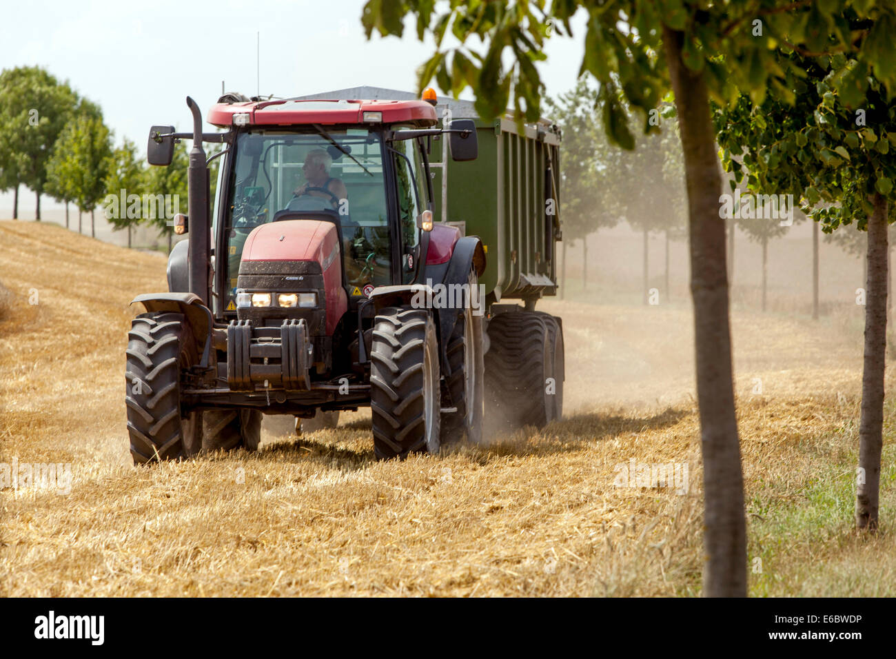 Traktorernte, landwirtschaftliches Fahrzeug auf einem Feldbauer in Tschechien Stockfoto
