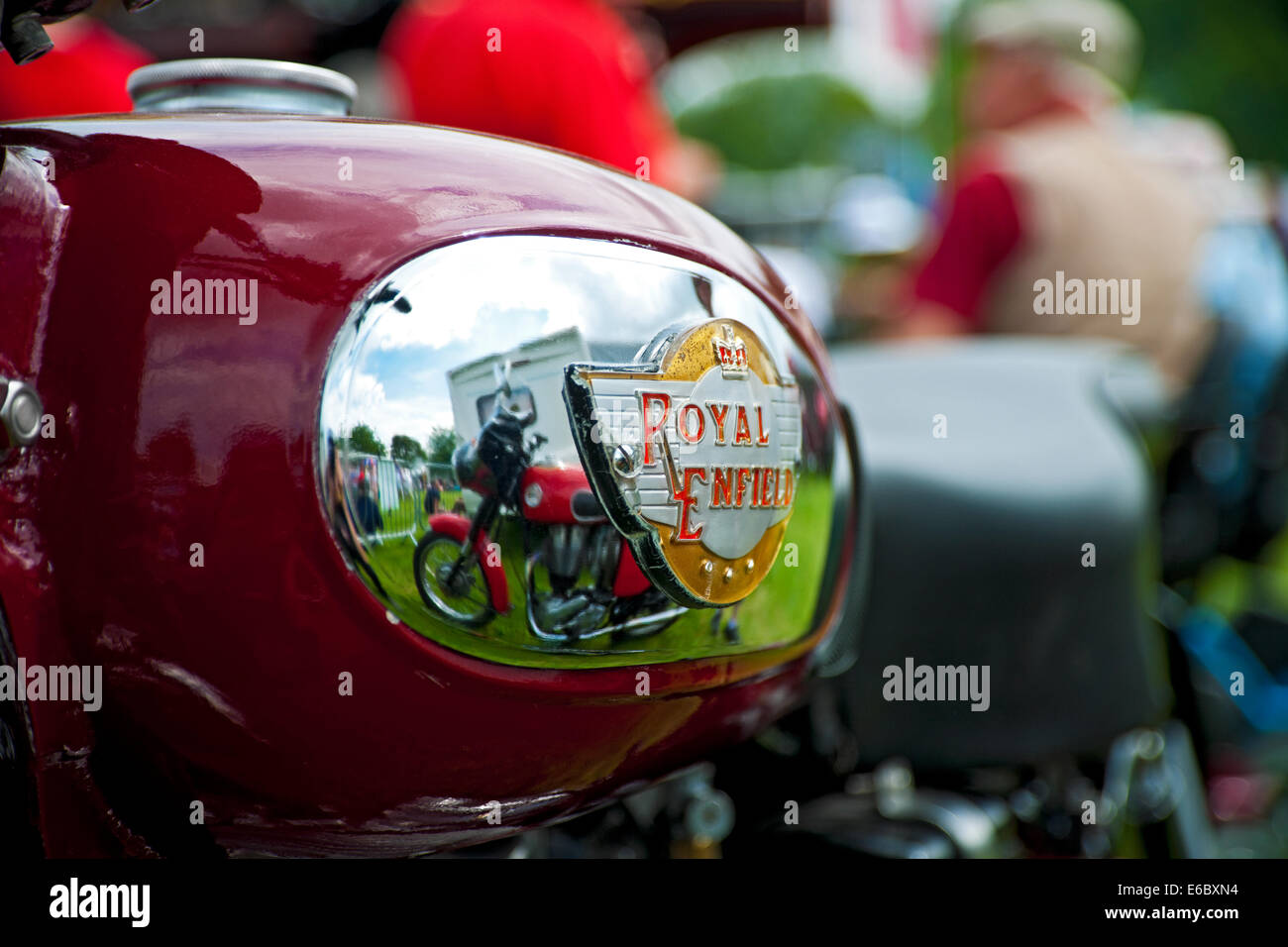 Nahaufnahme des Emblems auf einem Royal Enfield Motorrad Benzintank England UK Vereinigtes Königreich GB Großbritannien Stockfoto
