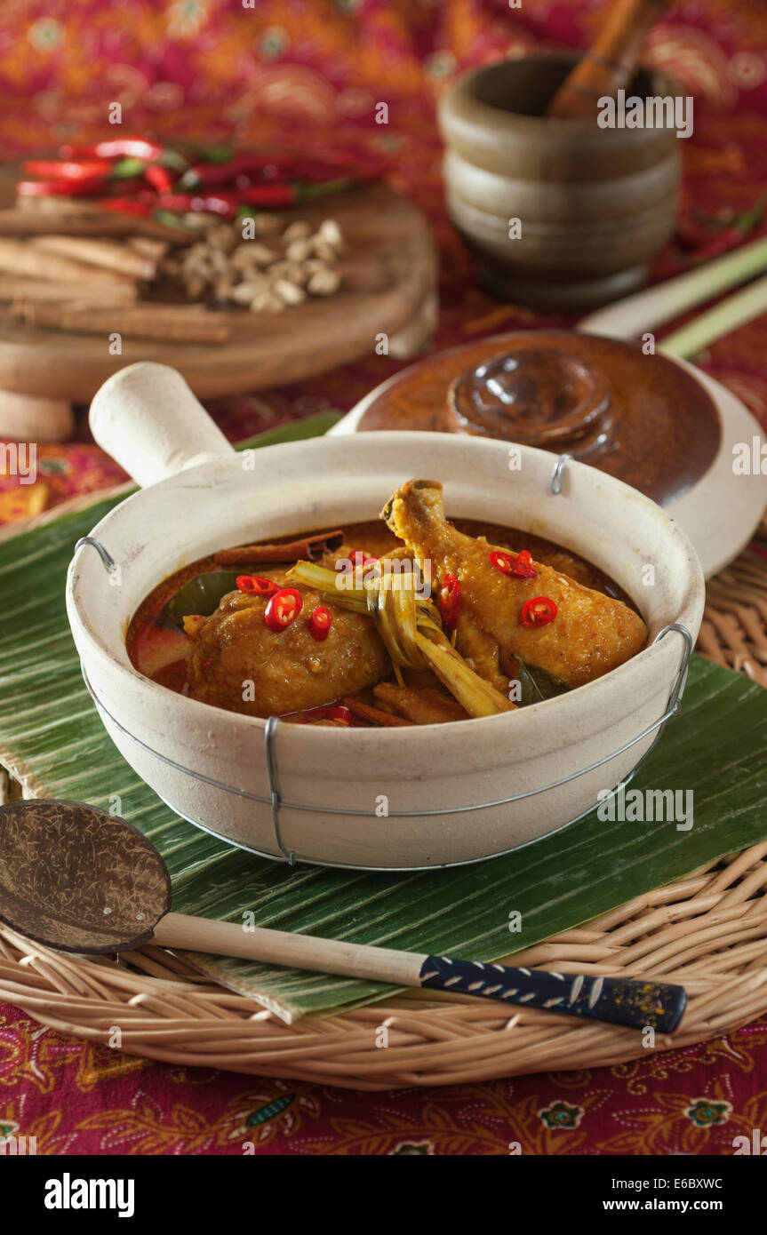 Gulai Ayam. Indonesische Hühnchen-Curry. Essen-Indonesien Stockfoto