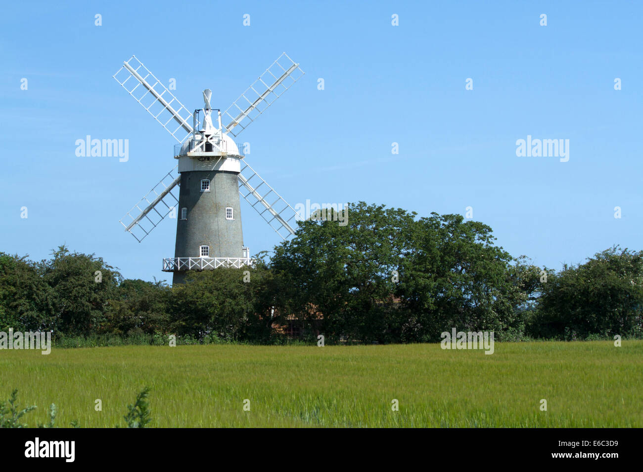 Norfolk-Windmühle Stockfoto