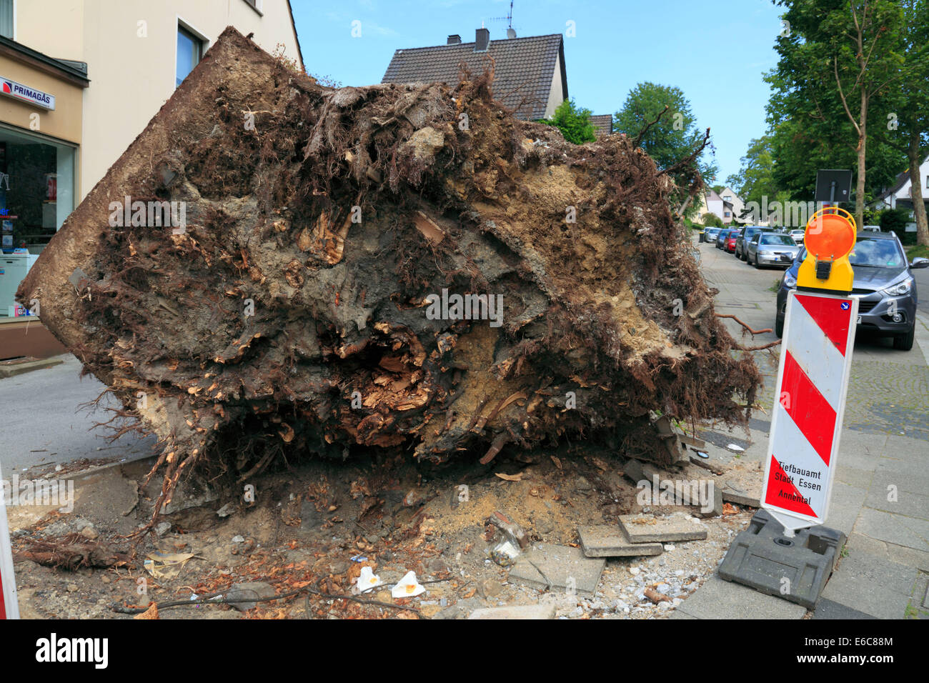Sturm Schäden durch Depression "Ela" auf 9. Juni 2014 eine 10. Juni 2014, entwurzelte Baum an Ecke Velberter Straße, Heidhauser Strasse und Wintgenstrasse in D-Essen-Fischlaken, Ruhrgebiet, Rheinland, Nordrhein-Westfalen, NRW Stockfoto