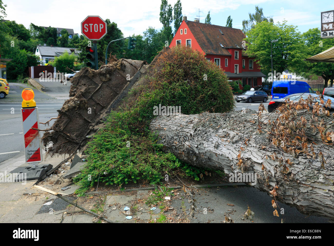 Sturm Schäden durch Depression "Ela" auf 9. Juni 2014 eine 10. Juni 2014, entwurzelte Baum an Ecke Velberter Straße, Heidhauser Strasse und Wintgenstrasse in D-Essen-Fischlaken, Ruhrgebiet, Rheinland, Nordrhein-Westfalen, NRW Stockfoto