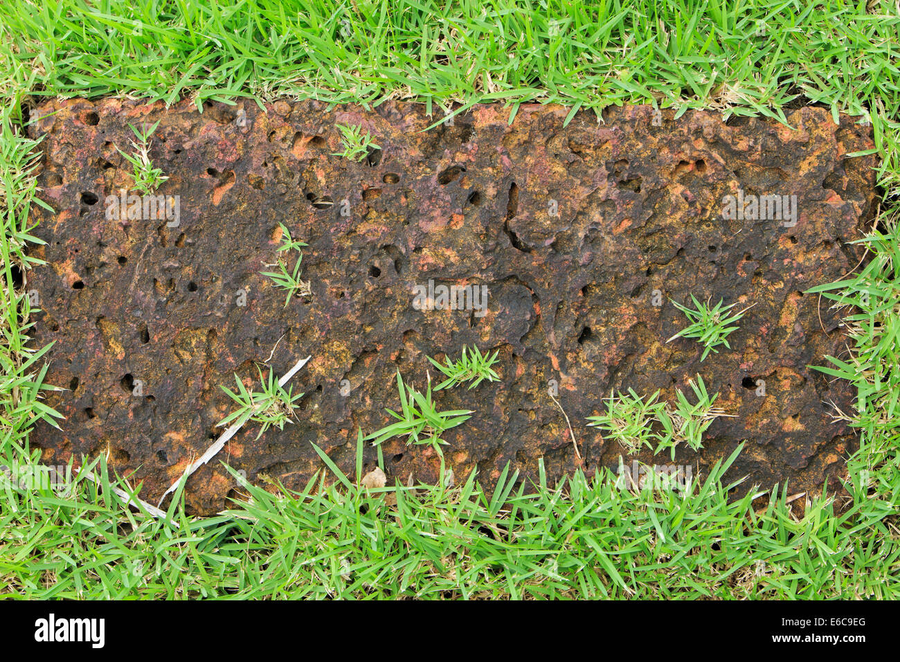 Stein und Grass Hintergrund Stockfoto