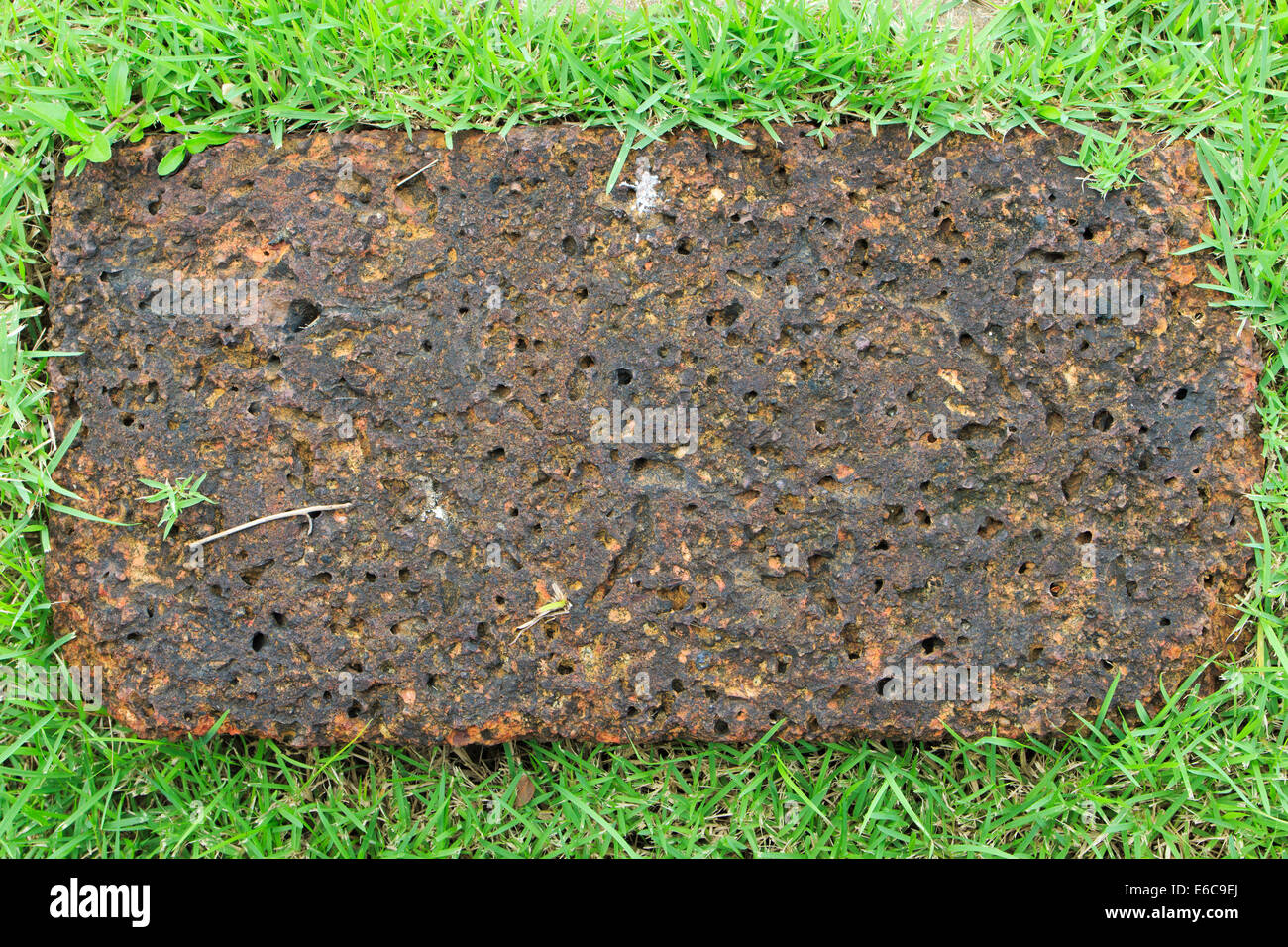 Stein und Grass Hintergrund Stockfoto