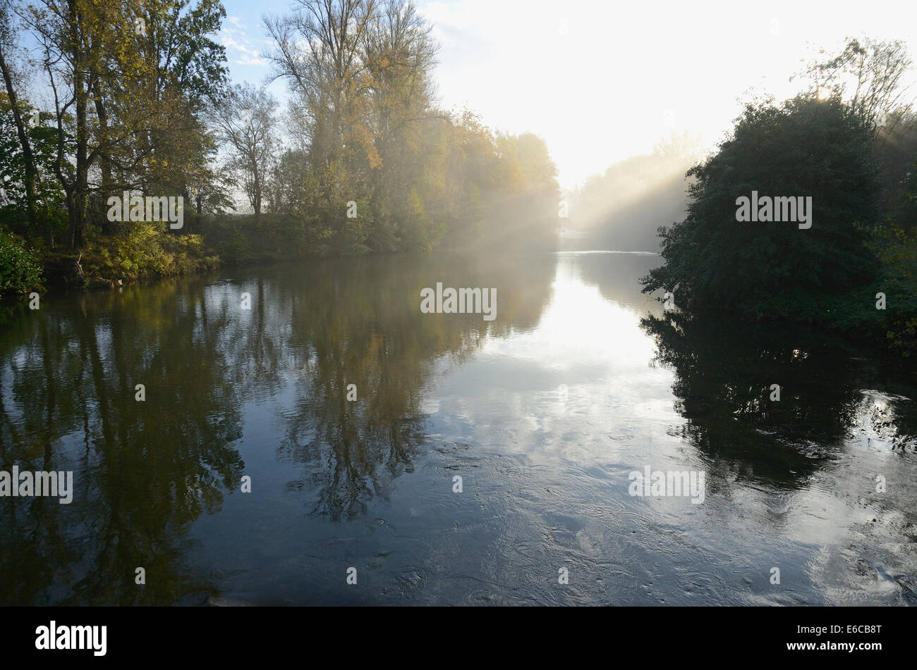 Sonnenstrahlen am Fluss Orb Morgen Nebel, Les Aires, Herault, Languedoc-Roussillon, Frankreich Stockfoto