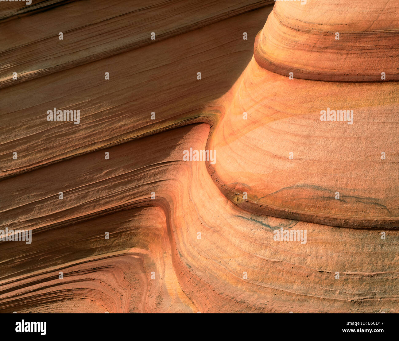 Vermillion Cliffs National Monument, Arizona. USA. Kreuz-Bett Navajo Sandstein (Trias/Jura-Zeitalter). Coyote Buttes. Stockfoto