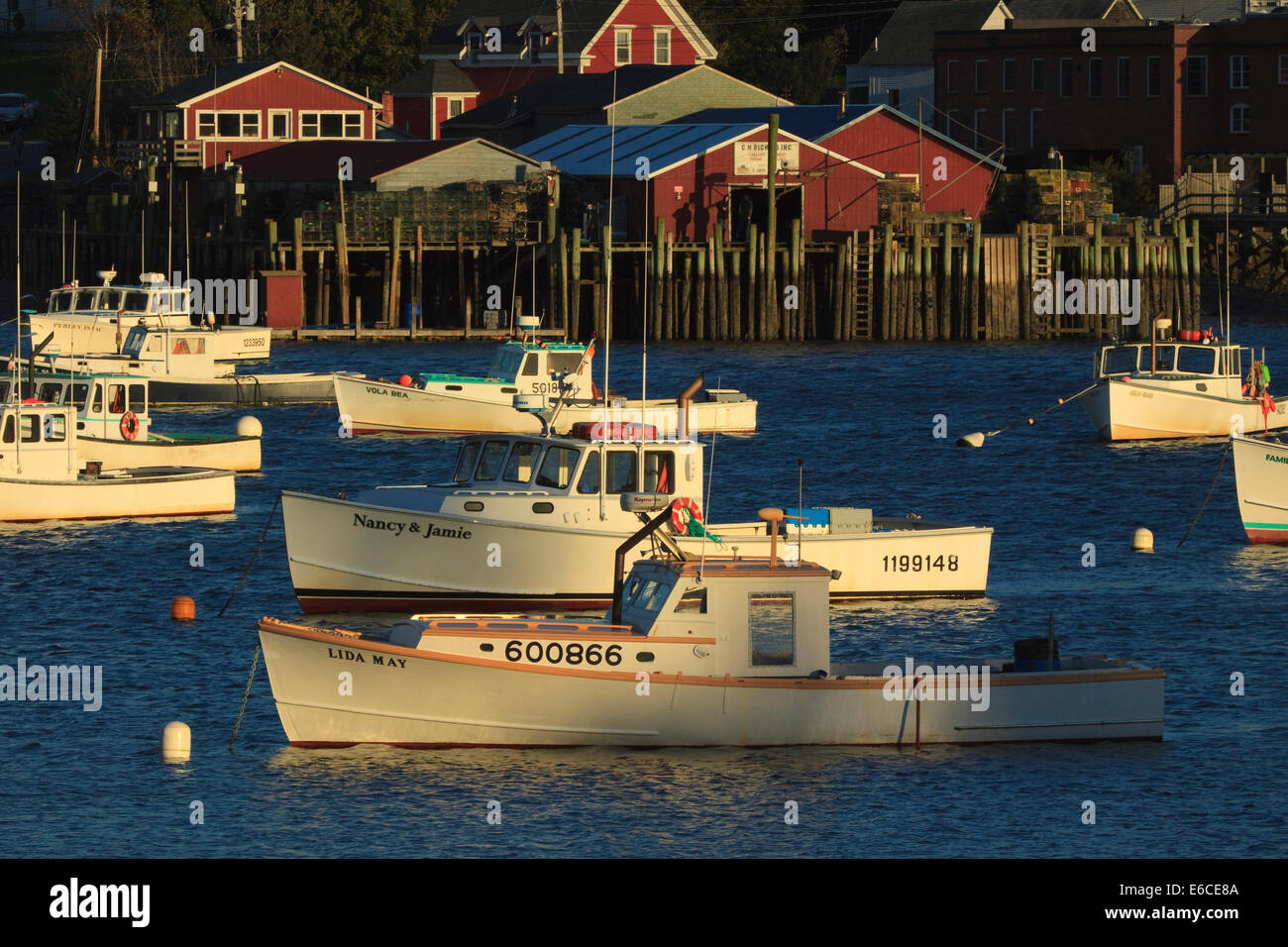 USA, Nordamerika, Maine, Bernard, Angelboote/Fischerboote im Bass Harbor verankert. Stockfoto
