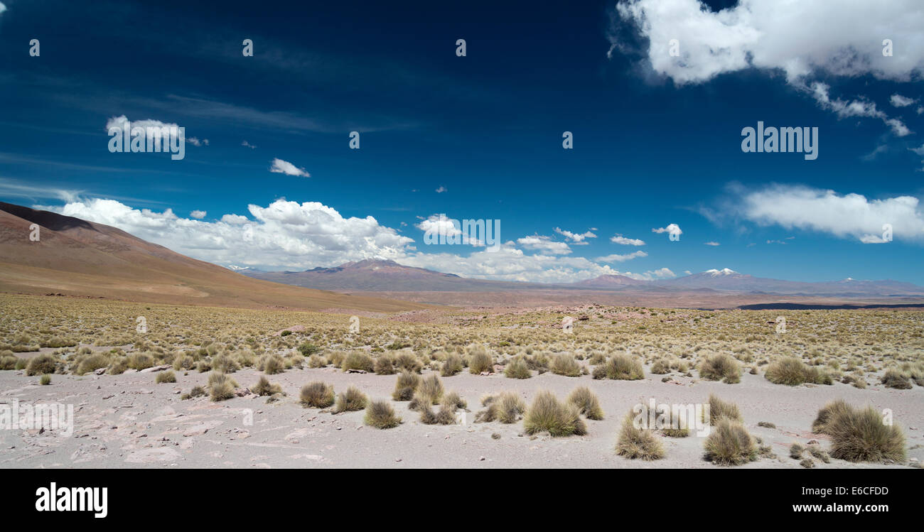 Schneebedeckte Vulkane in South Western Bolivien. Stockfoto