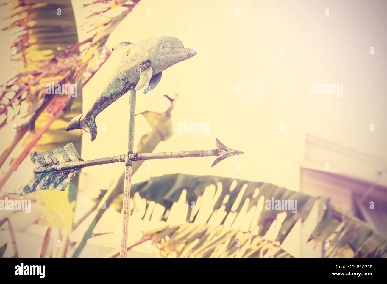 Vintage Foto Richtung Zeichen Delphin Form mit Palme. Stockfoto