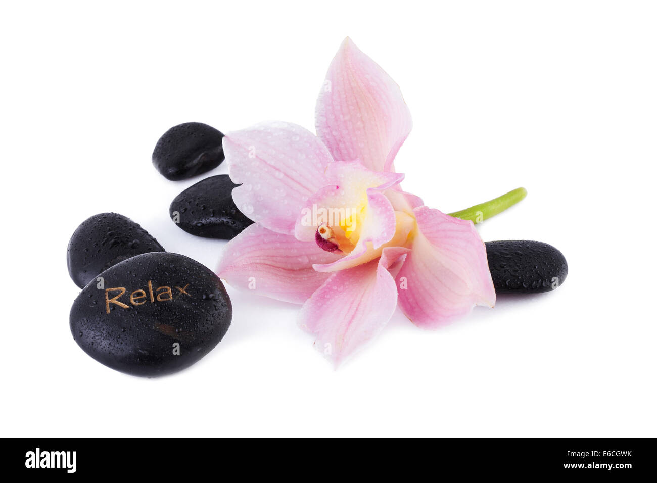 Spa-Konzept, Orchidee mit Zen Stein isoliert auf weiss Stockfoto