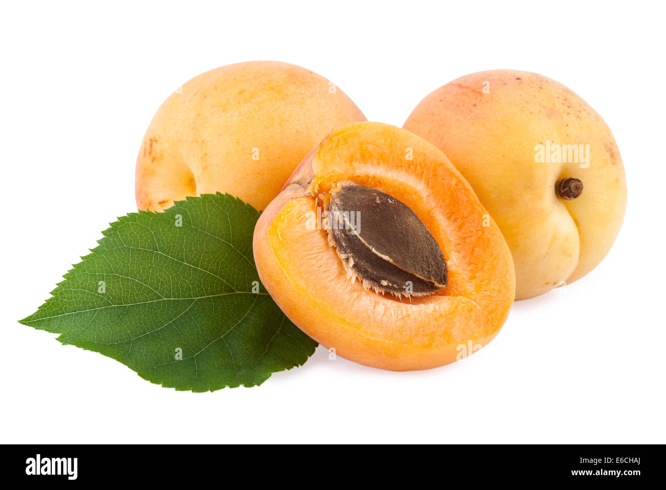 Aprikosen mit Blatt und Frucht Kern Stockfoto