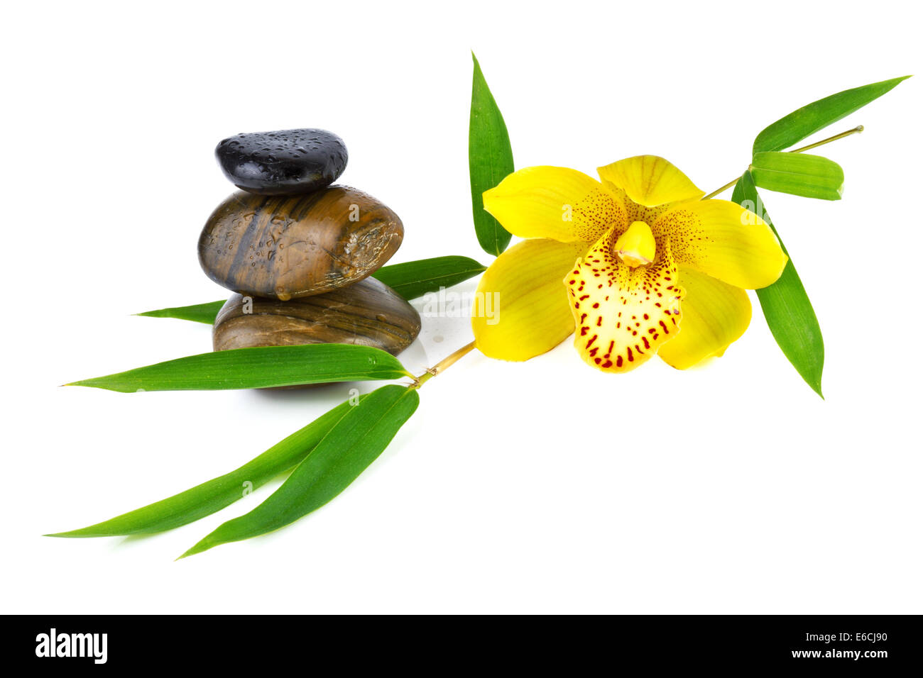 Orchidee mit Zen Steinen isoliert auf weiss Stockfoto