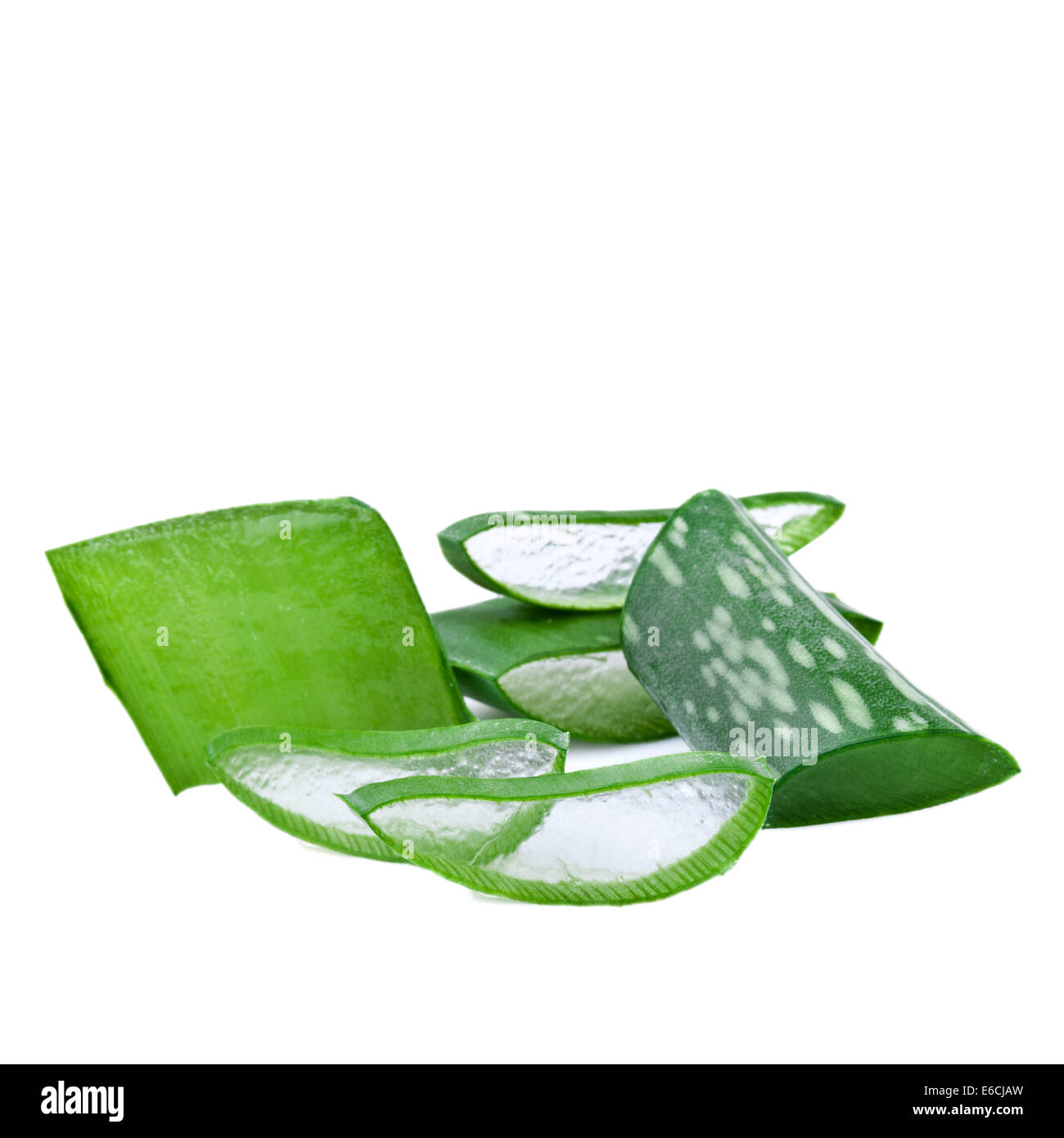 Aloe-Pflanze. Körper-Pflegekonzept Stockfoto