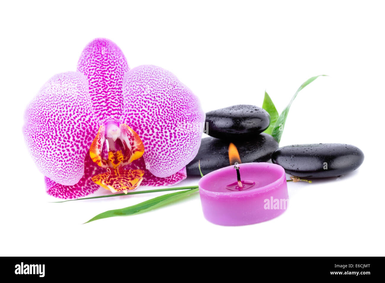 Orchidee mit Zen Steinen. Spa und Health Care Konzept Stockfoto